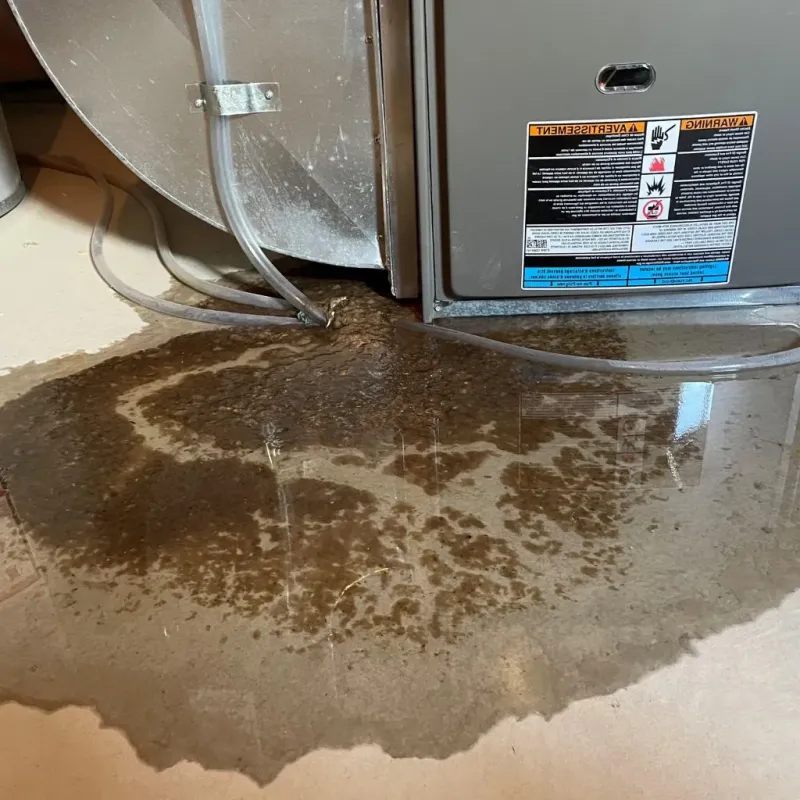 Pipe Burst and Leak Restoration in Greenwood, IN